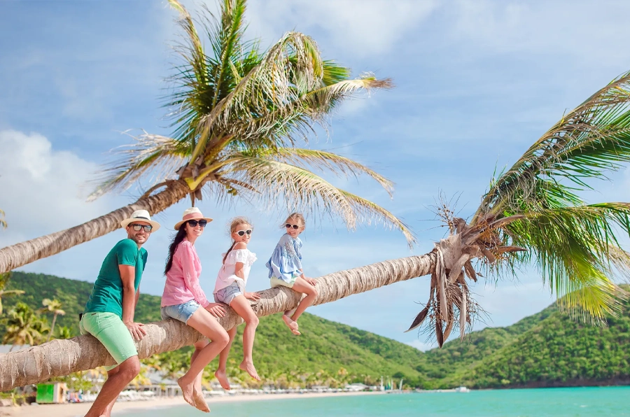 family sitting on palm tree vacationing