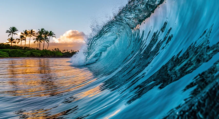 hawaii ocean wave curling with palm trees and sunset in background